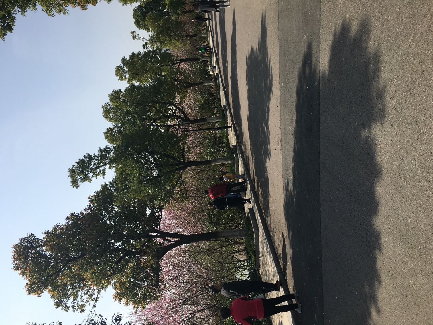 皖红·铜陵雍湖园幼儿园欢乐时光